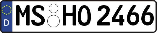 MS-HO2466