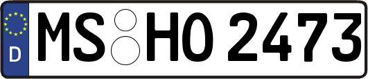 MS-HO2473