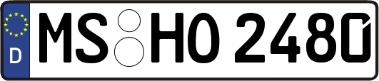 MS-HO2480