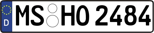 MS-HO2484