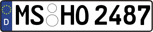 MS-HO2487