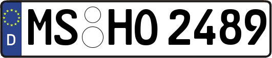 MS-HO2489