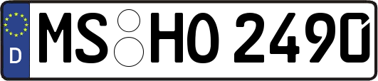 MS-HO2490
