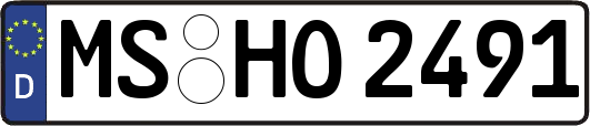 MS-HO2491