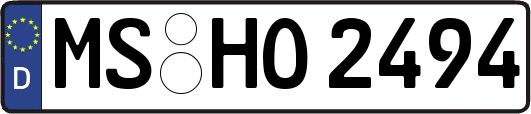 MS-HO2494