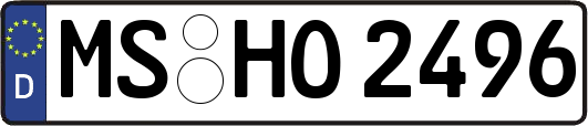 MS-HO2496