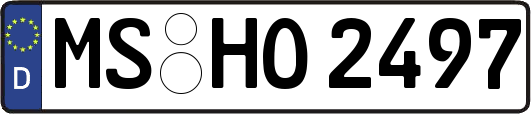 MS-HO2497