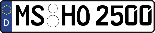 MS-HO2500