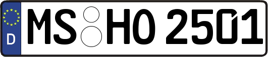 MS-HO2501