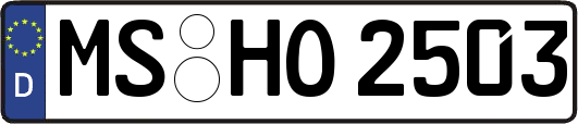MS-HO2503
