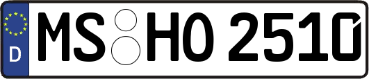 MS-HO2510