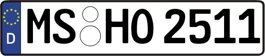 MS-HO2511