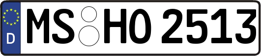 MS-HO2513