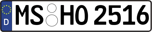 MS-HO2516