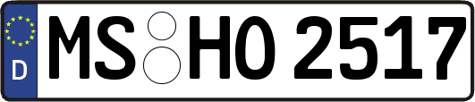 MS-HO2517
