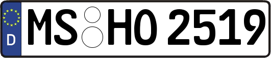 MS-HO2519