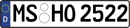 MS-HO2522