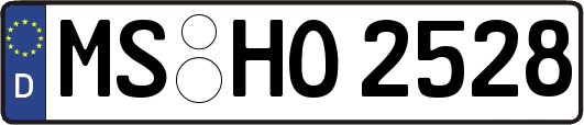 MS-HO2528