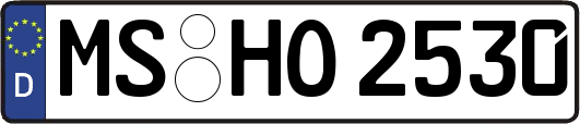 MS-HO2530