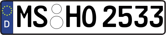 MS-HO2533