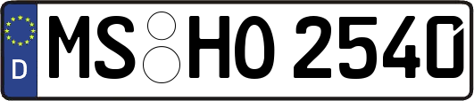 MS-HO2540