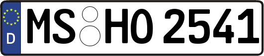 MS-HO2541