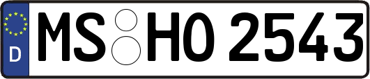 MS-HO2543