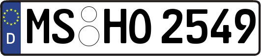 MS-HO2549