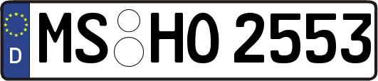 MS-HO2553