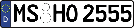 MS-HO2555