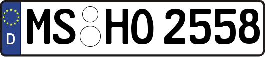MS-HO2558