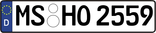 MS-HO2559