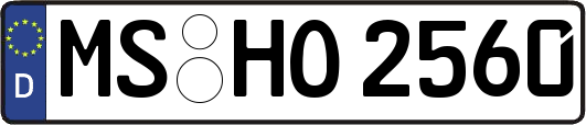 MS-HO2560