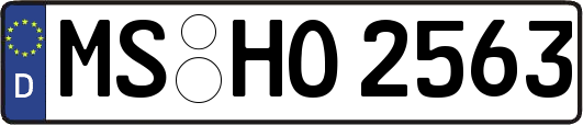 MS-HO2563