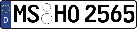 MS-HO2565