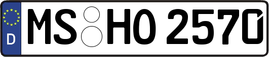 MS-HO2570