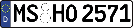 MS-HO2571