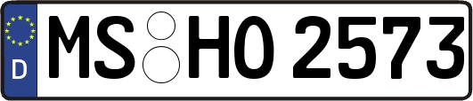 MS-HO2573