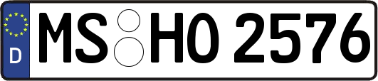 MS-HO2576