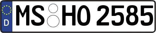 MS-HO2585