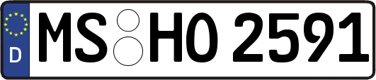 MS-HO2591