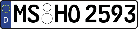 MS-HO2593