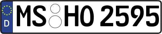 MS-HO2595