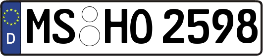 MS-HO2598