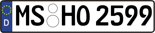MS-HO2599