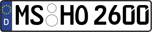 MS-HO2600