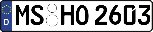 MS-HO2603