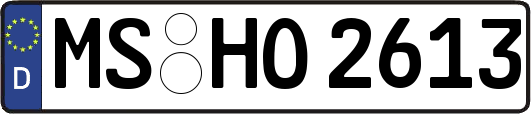 MS-HO2613