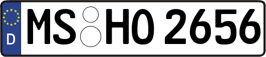 MS-HO2656