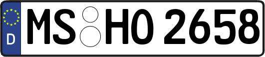 MS-HO2658